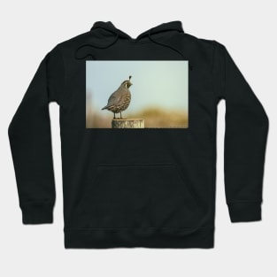 California Quail Hoodie